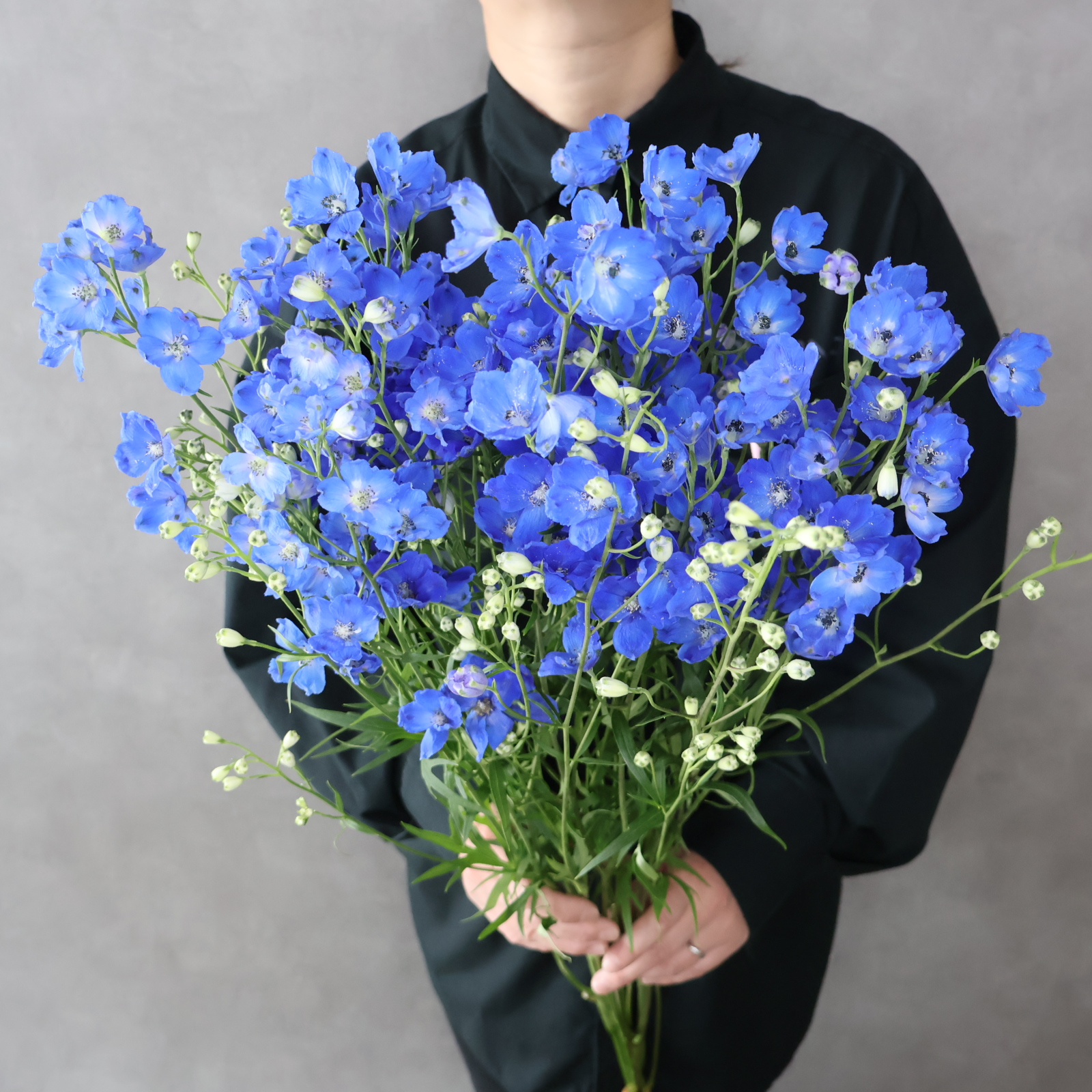 でるふぃ