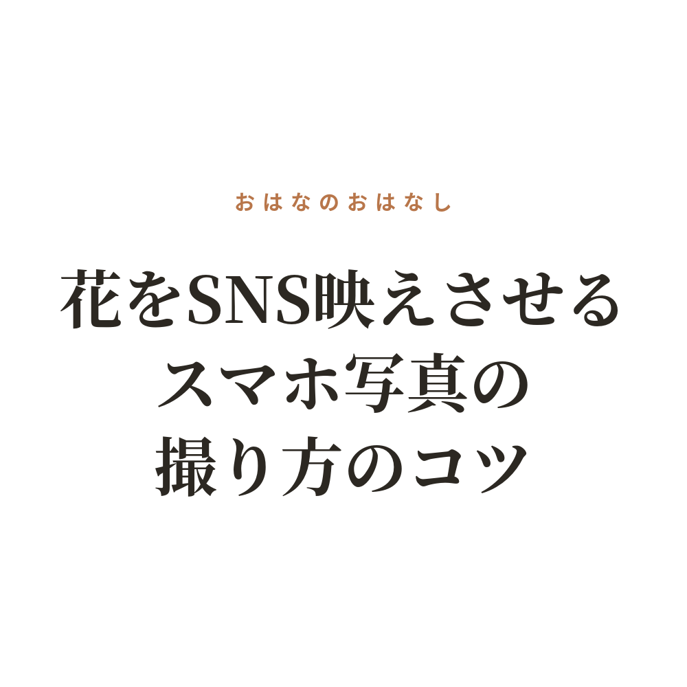 花をSNS映えさせる、スマホ写真の撮り方のコツ
